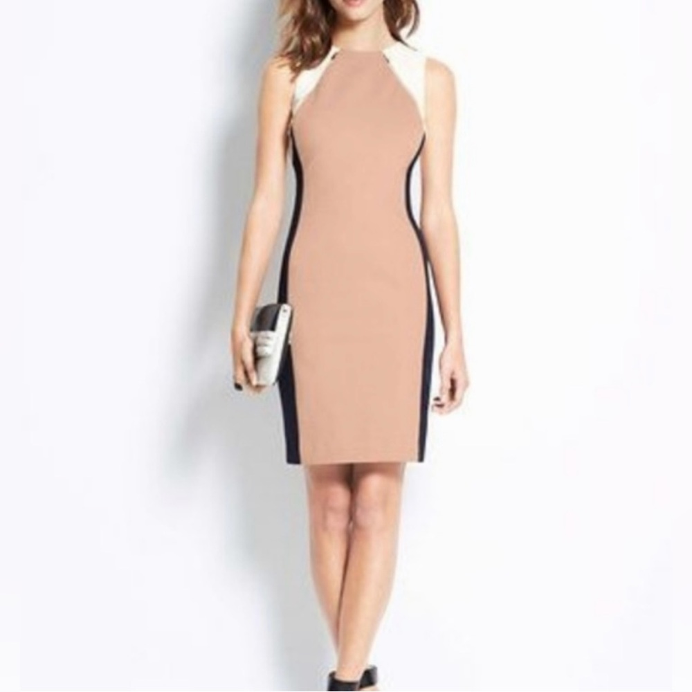 Ann Taylor Petite Size 4P Color Block Sleeveless Sheath Dress Back Zip Classic